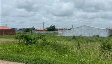 WhatsApp Image 2026-02-25 at 17.17.22.jpeg